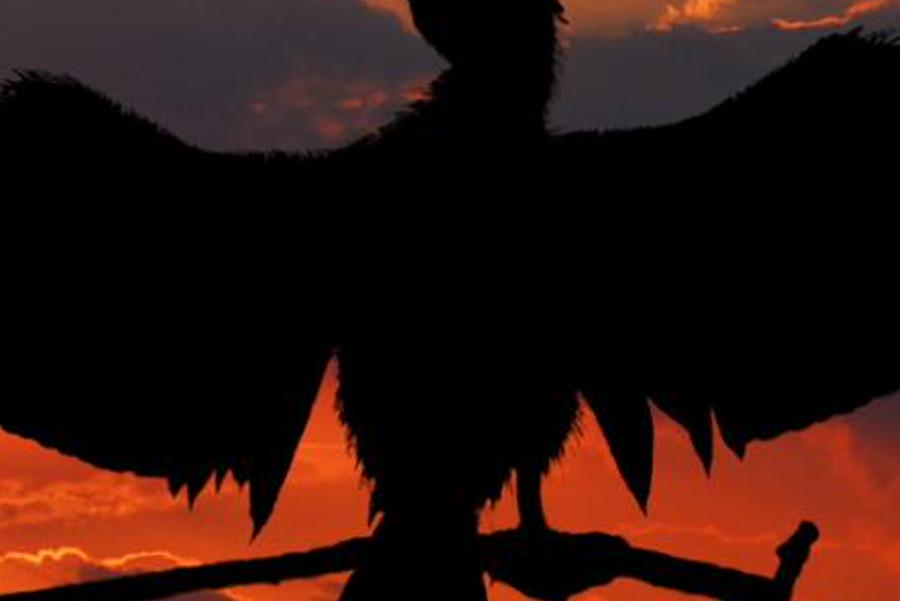 uggbaroll's profile banner image