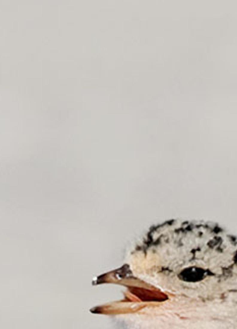 itrdacow's profile banner image