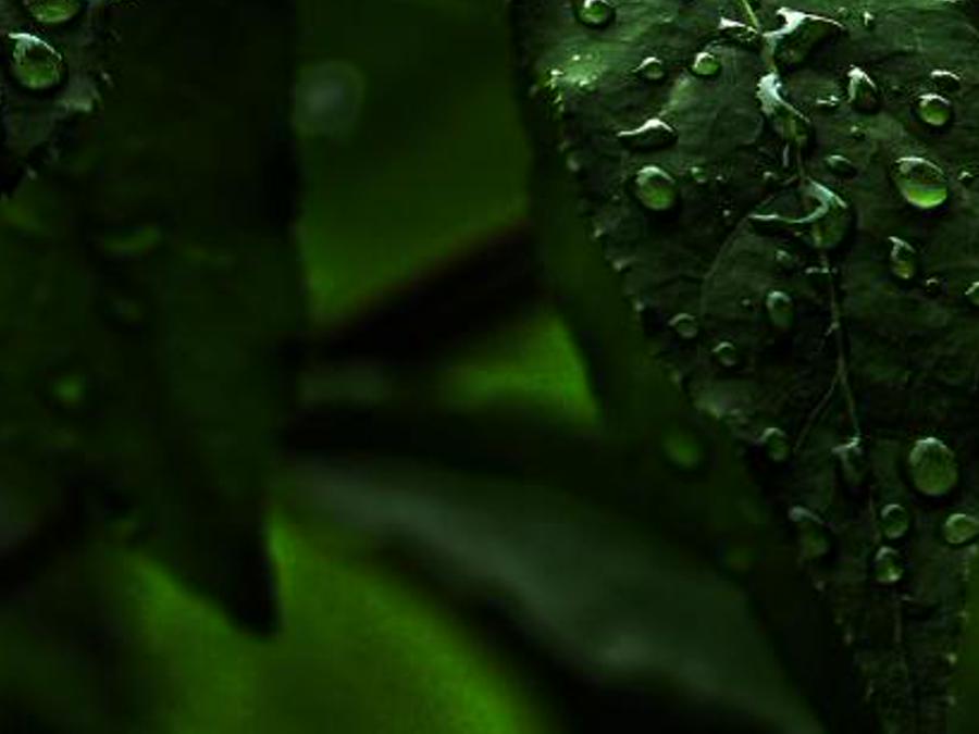 onerdlldaticoc's profile banner image