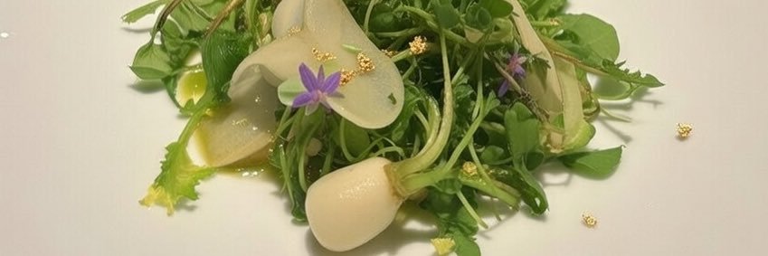 無帰🏝例大祭つ20b banner