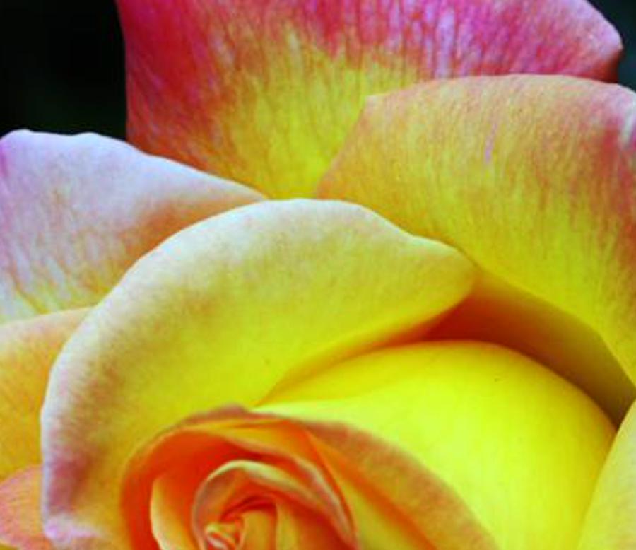 rribsps's profile banner image