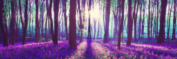JachuFV's profile banner image