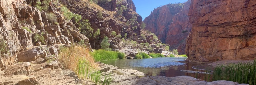 Katrina Beavan banner