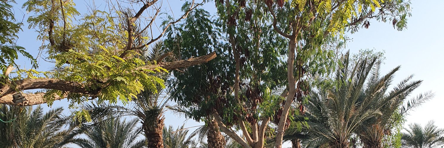 alapari1's profile banner image