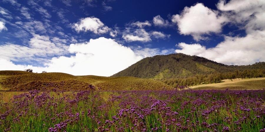 rizky_qiwe's profile banner image