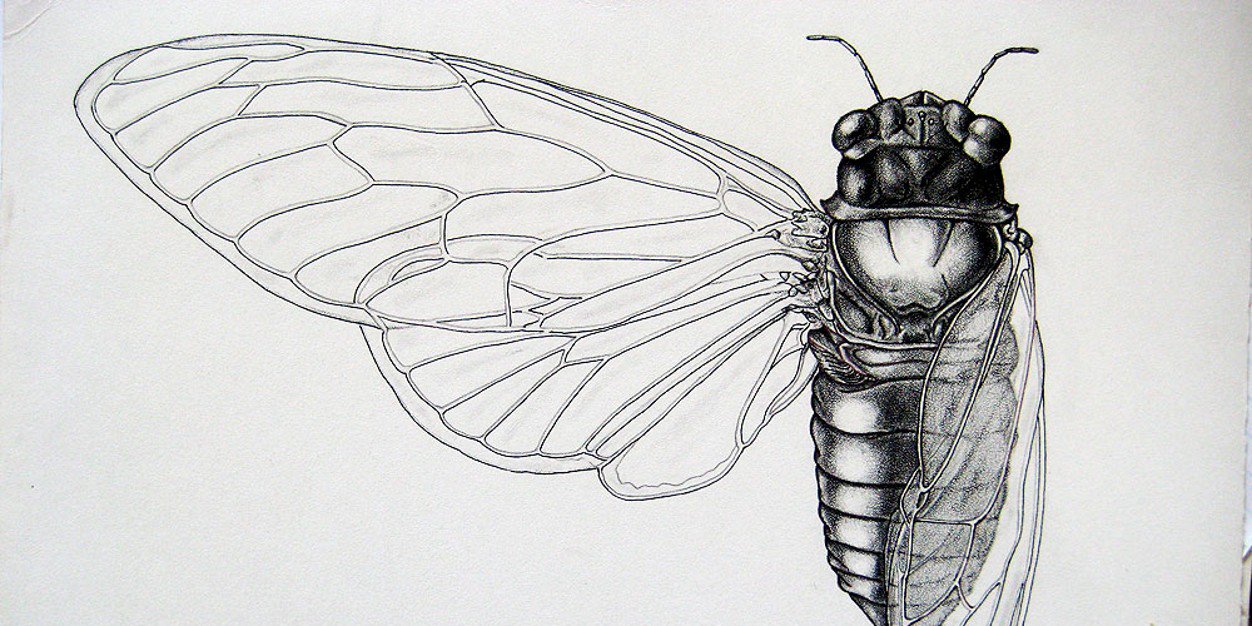 jesus, priscilla! banner