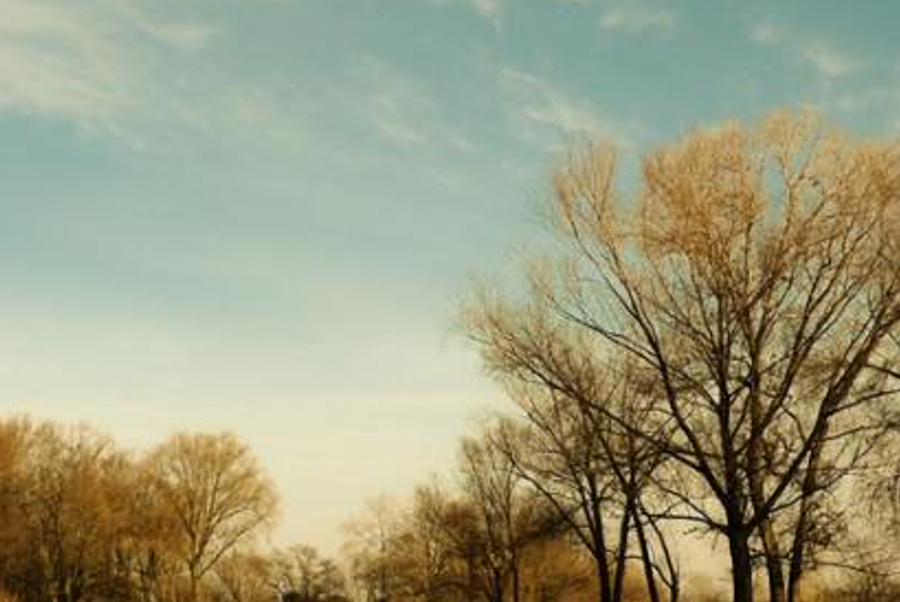 sisercy's profile banner image