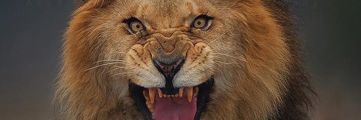 TheRealTugg's profile banner image