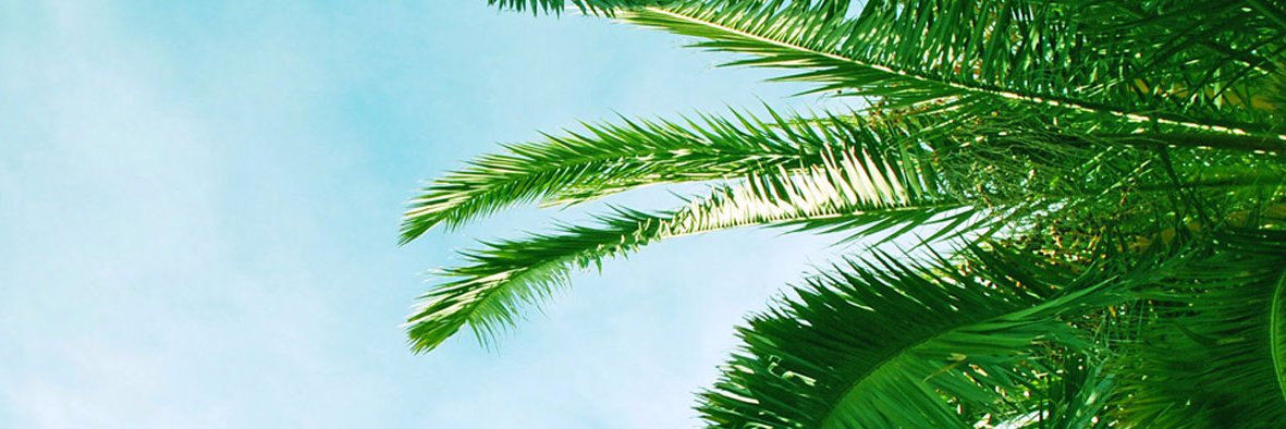 ed_collective's profile banner image