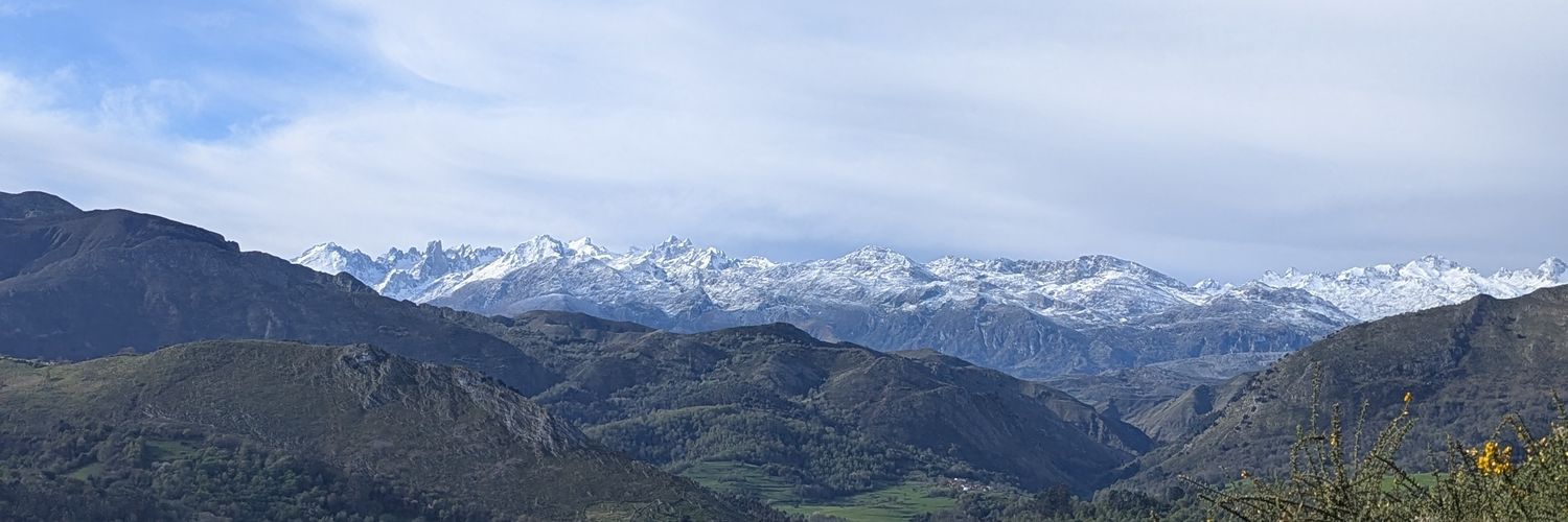 Pelayo Barro banner