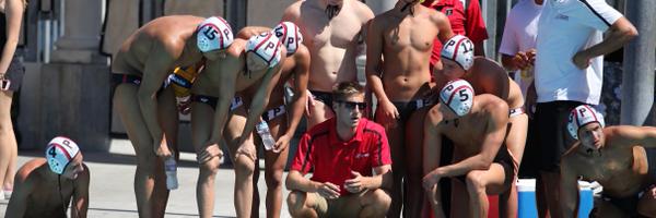 PremierWP Profile Banner