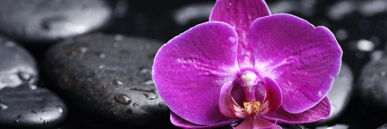 dalenaly's profile banner image