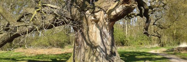 _OTKim Profile Banner