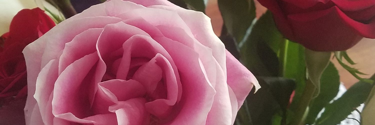 trmarker22's profile banner image
