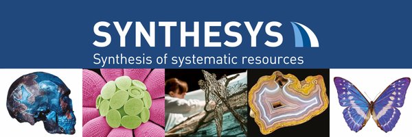 SynthesysEU Profile Banner