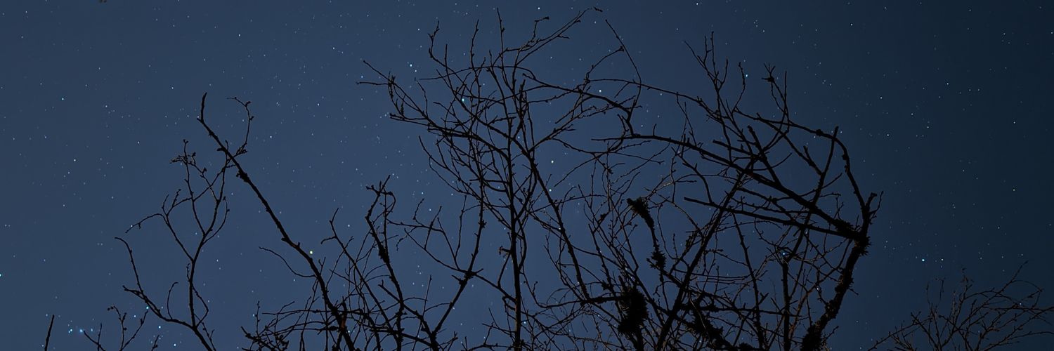 JacksonSabey's profile banner image