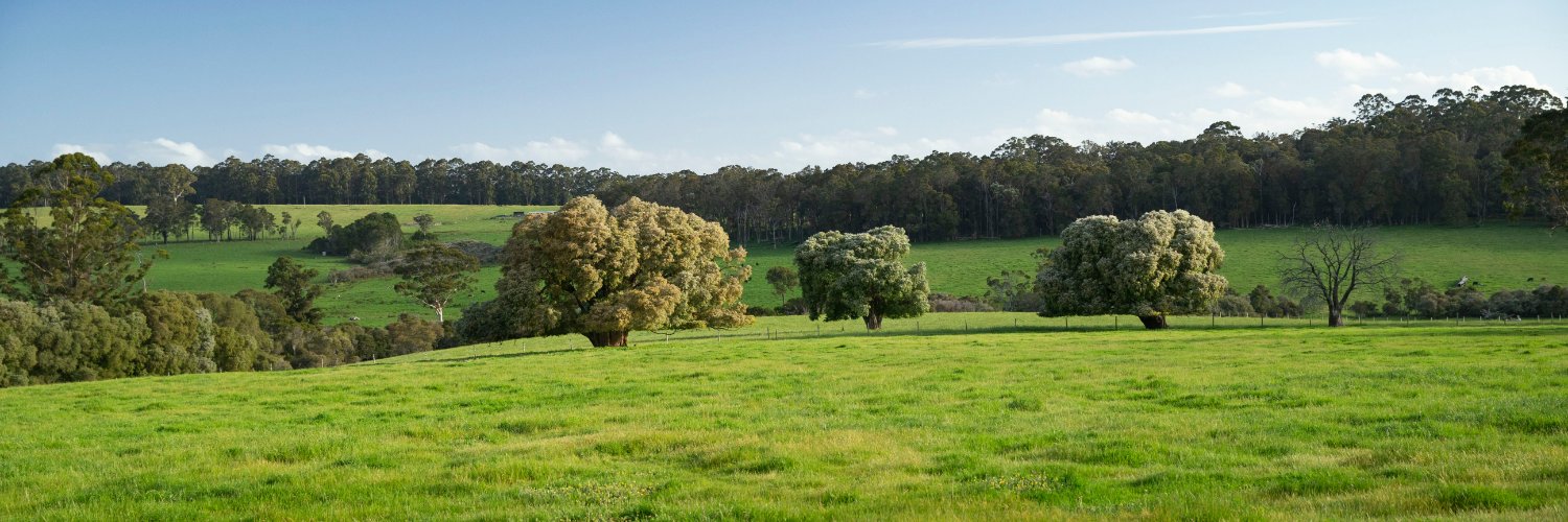 BannisterDowns's profile banner image
