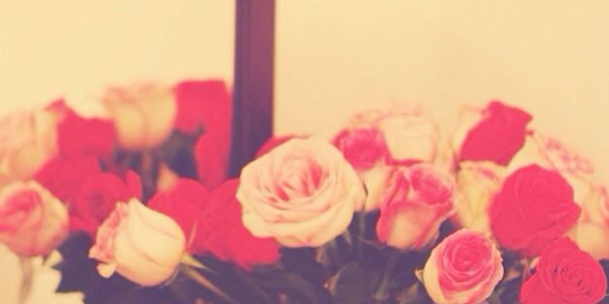 sun_29's profile banner image