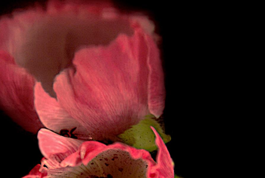 ctilop's profile banner image
