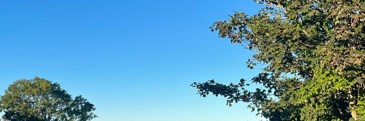 erinsentowski's profile banner image