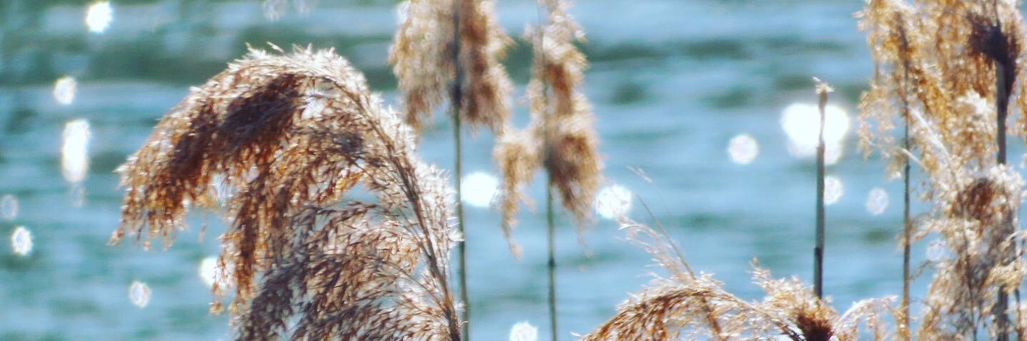 ymmtgk's profile banner image