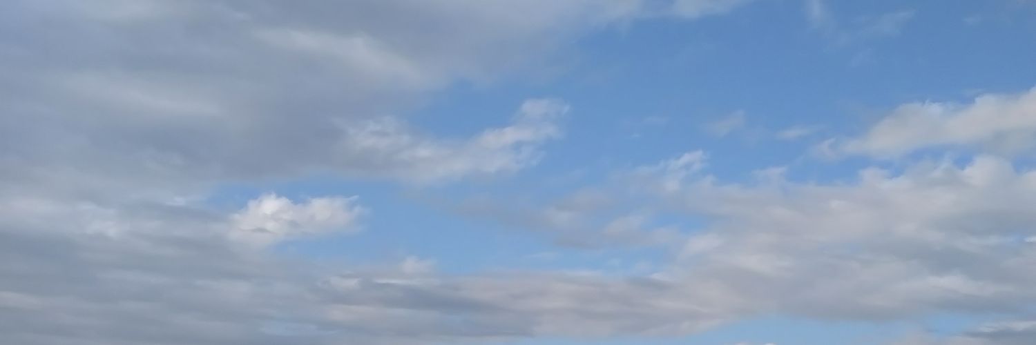 ryosb0401's profile banner image