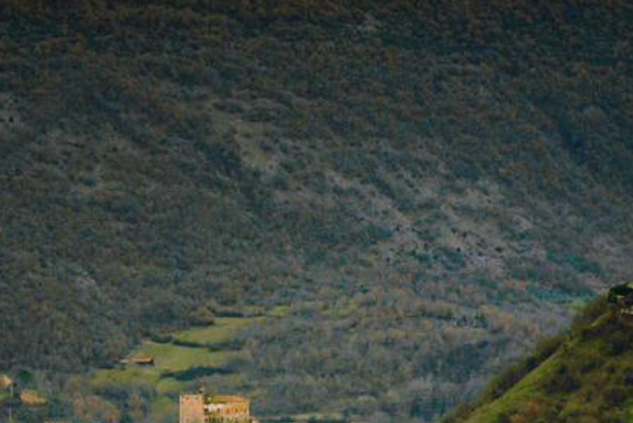 batckall's profile banner image