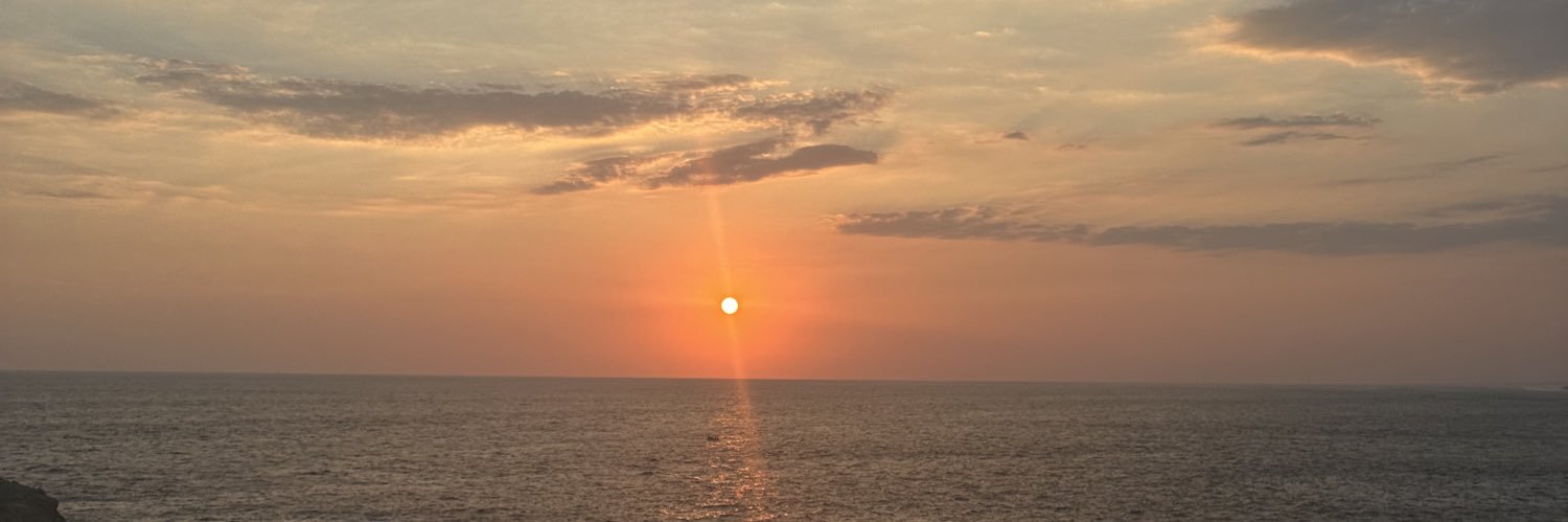 1AnyLu's profile banner image