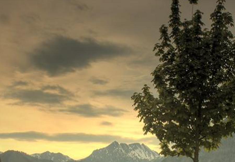ibocaene's profile banner image