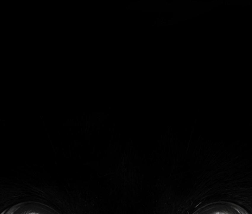 reponhyneta's profile banner image