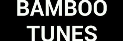 bambootunez's profile banner image
