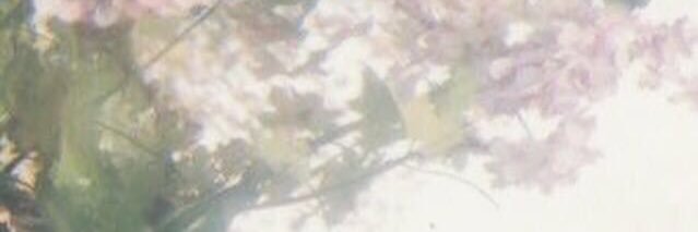 SaraSh__'s profile banner image