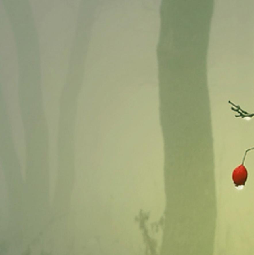 ustrogove's profile banner image