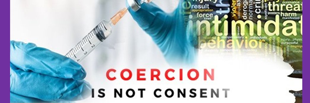 Ann W #Conservative(Generation Jones)Boomer banner