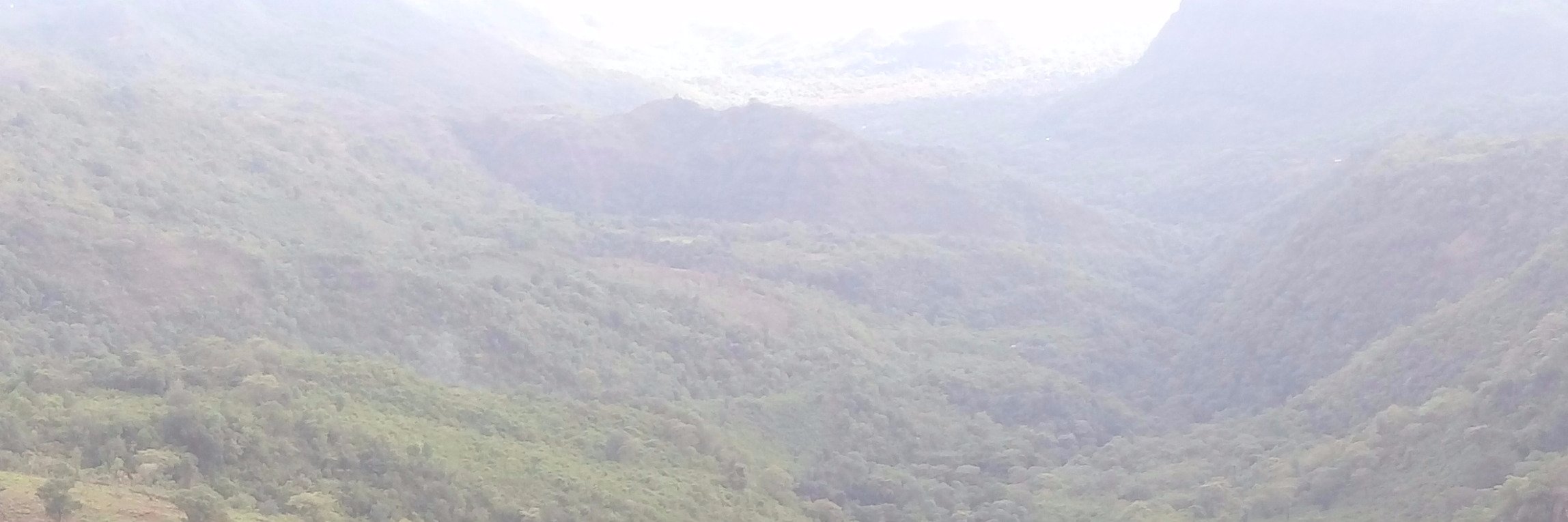 ngishin's profile banner image