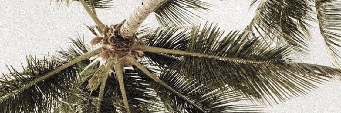 PooHmeey's profile banner image