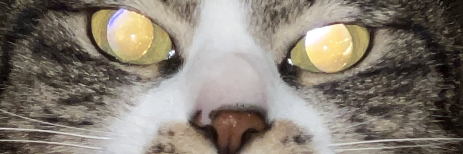 kahewore's profile banner image