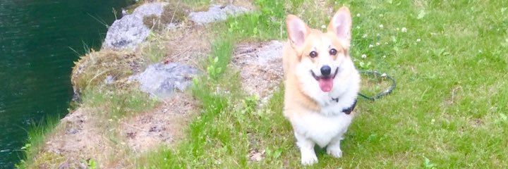 西田理英's banner