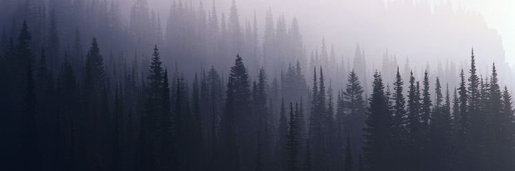 A9il banner