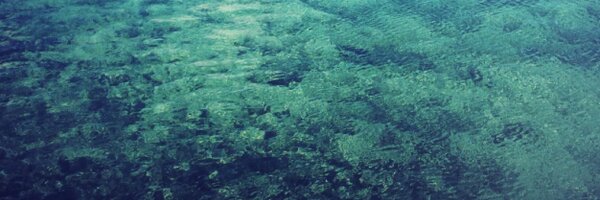 ejie Profile Banner
