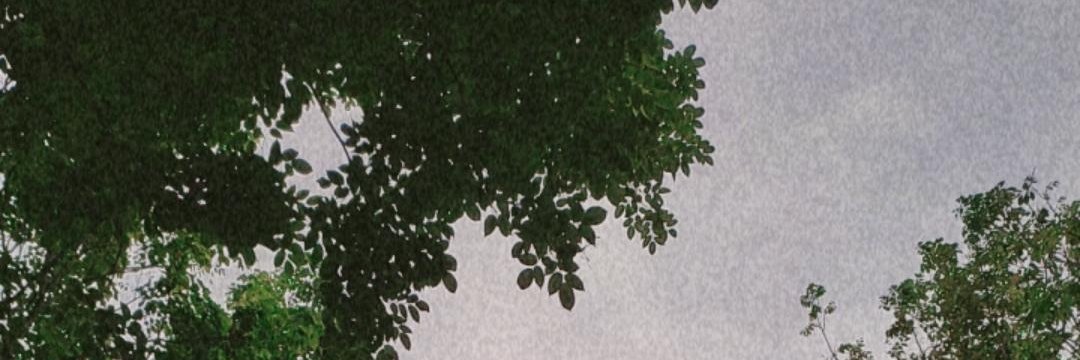 Azmialhalwa_'s profile banner image