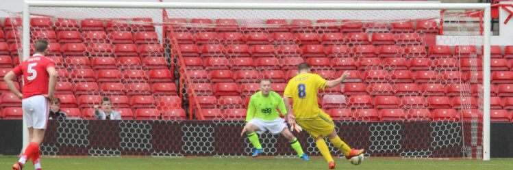 Steve Gibson banner