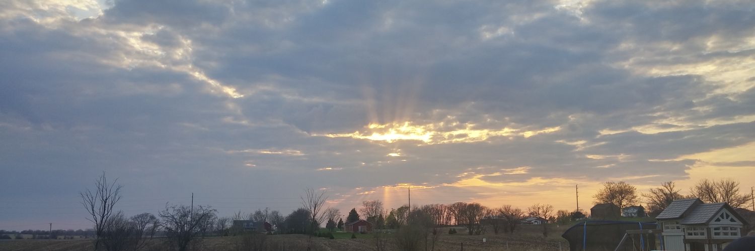 tmfras's profile banner image