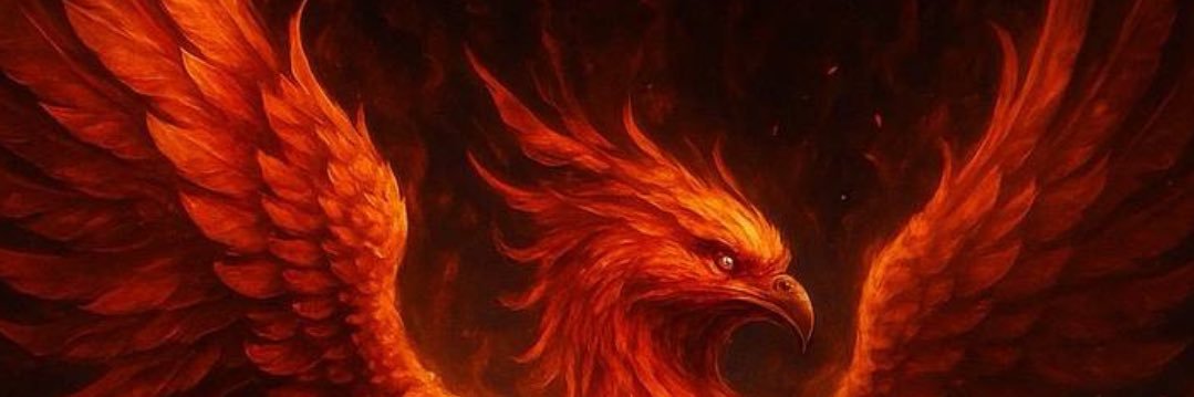 Dima banner