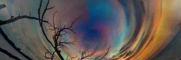 ElisedeckerQm99 Profile Banner