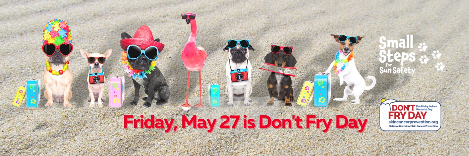 National Council on Skin Cancer Prevention banner