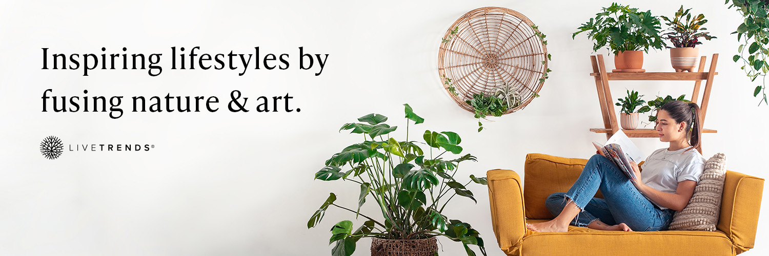 LiveTrends Design banner