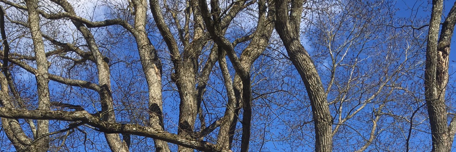 Teijo Kelander banner