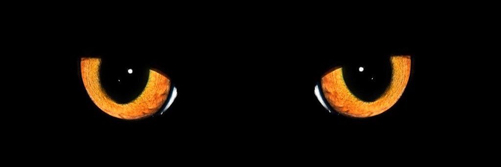 ilverofek's profile banner image