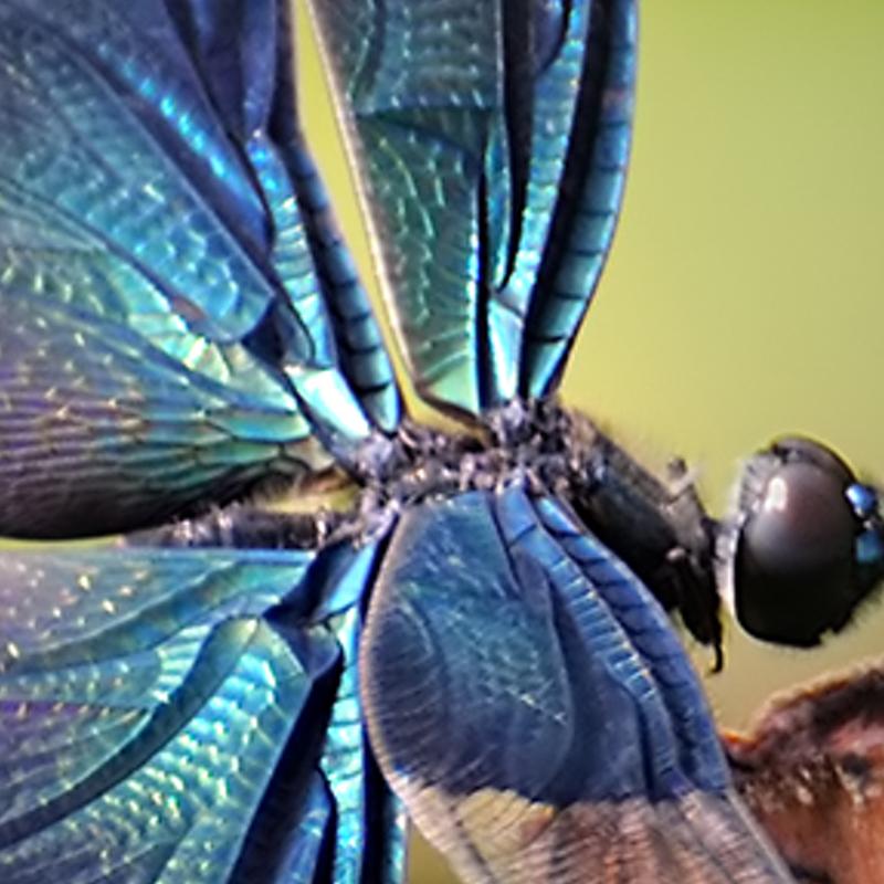 minslong's profile banner image